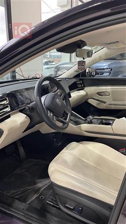 بي واي دي كوين L DM-i